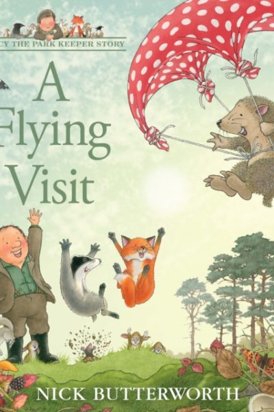 A Flying Visit by Butterworth, Nick