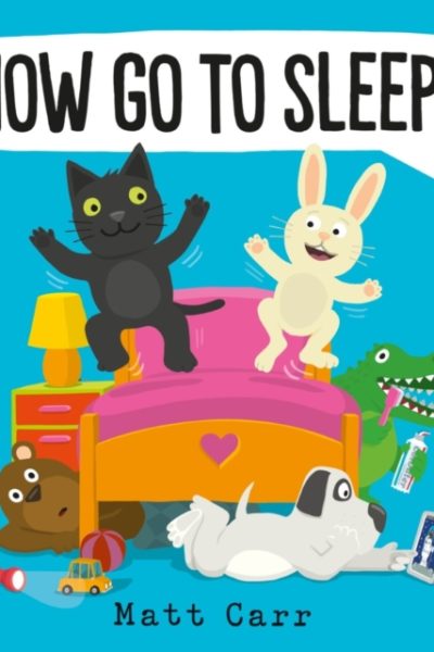 Now Go to Sleep! by Carr, Matt