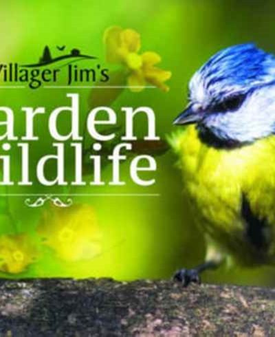 Villager Jim's Garden Wildlife by Jim, Villager