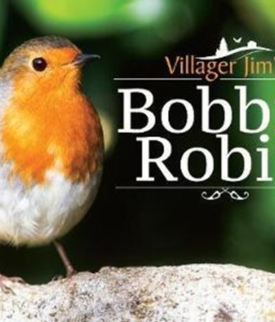 Villager Jim's Bobbin Robin by Jim, Villager