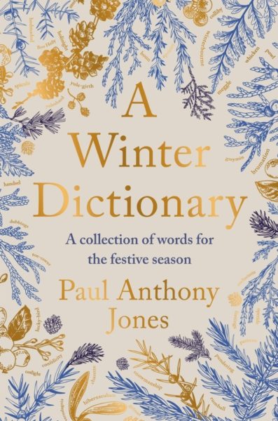 A Winter Dictionary : A Collection of Words for the Festive Season - The perfect stocking filler this Christmas by Jones, Paul Anthony