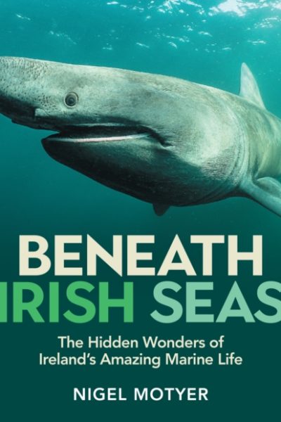 Beneath Irish Seas : The Hidden Wonders of Ireland’s Amazing Marine Life by Motyer, Nigel