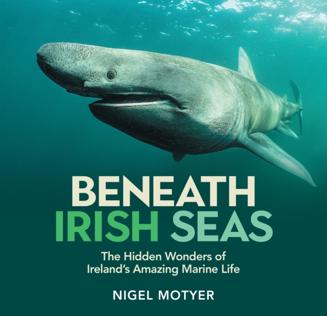 Beneath Irish Seas : The Hidden Wonders of Ireland’s Amazing Marine Life by Motyer, Nigel
