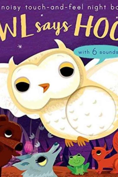 Owl Says Hoot : A noisy touch-and-feel night book by Enright, Amanda