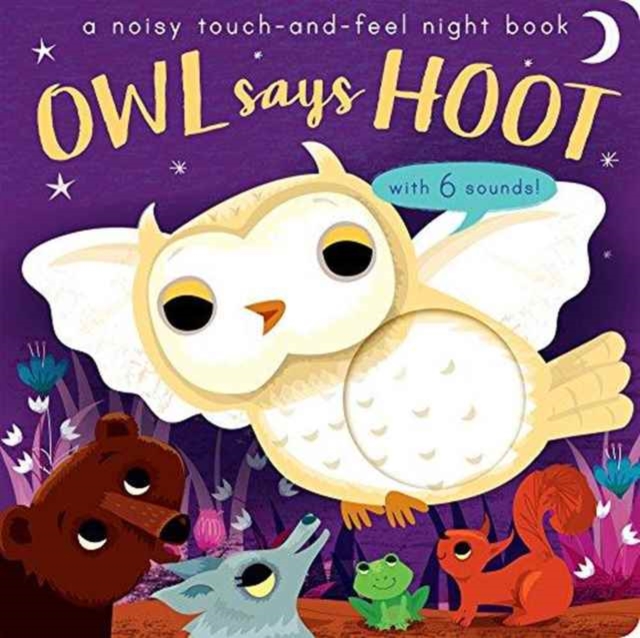 Owl Says Hoot : A noisy touch-and-feel night book by Enright, Amanda