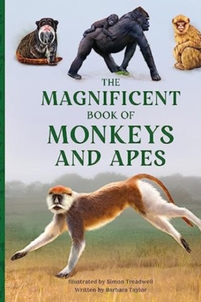 The Magnificent Book of Monkeys and Apes : 11 by Taylor, Barbara