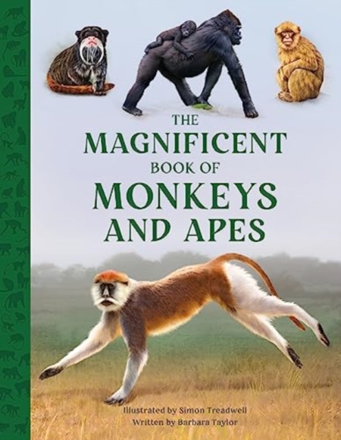 The Magnificent Book of Monkeys and Apes : 11 by Taylor, Barbara