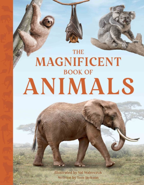 The Magnificent Book of Animals : 7 by Jackson, Tom