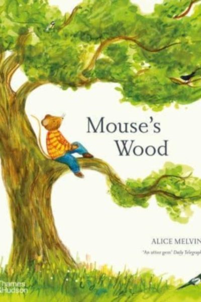 Mouse's Wood : A Year in Nature by Melvin, Alice