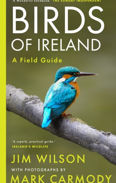 Birds of Ireland by Wilson, Jim