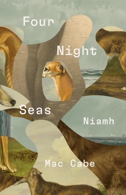 Four Night Seas by Mac Cabe, Niamh