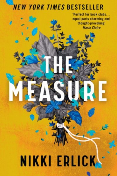 The Measure by Erlick, Nikki