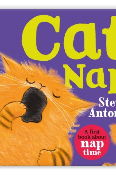 Cat Nap : A First Book About Naptime by Antony, Steve