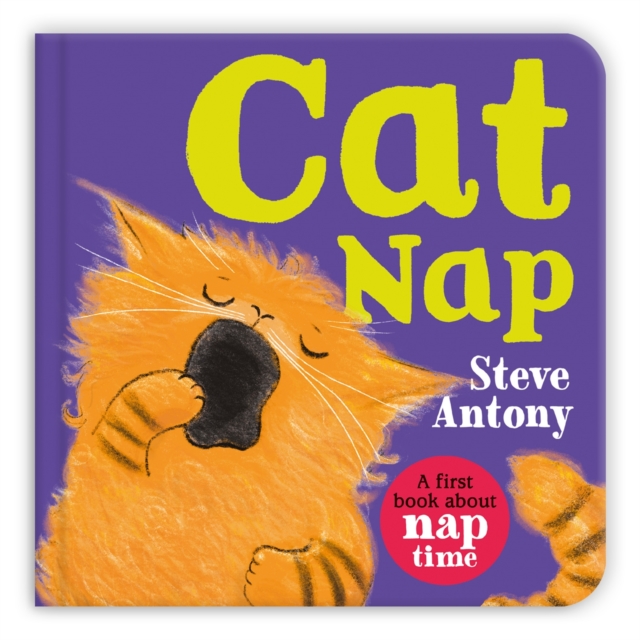 Cat Nap : A First Book About Naptime by Antony, Steve