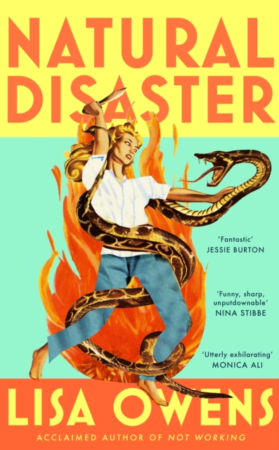 Natural Disaster : 'Mrs Dalloway meets Motherland' (The Times) in this hilariously relatable, sharply observed new novel from the author of NOT WORKING by Owens, Lisa