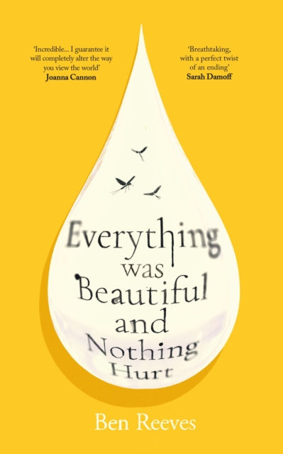 Everything was Beautiful and Nothing Hurt : ‘Incredible… I guarantee it will completely alter the way you view the world’ Joanna Cannon by Reeves, Ben