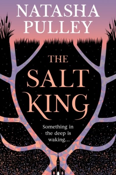 The Salt King : An end of the world thriller, packed with dazzling wit and romance by Pulley, Natasha