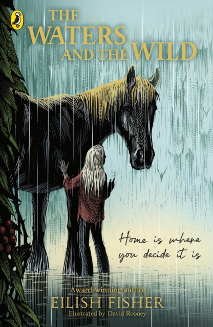 The Waters and the Wild by Fisher, Eilish
