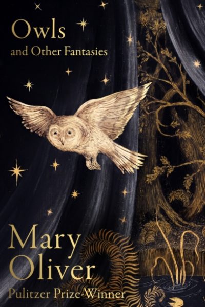 Owls and Other Fantasies by Oliver, Mary